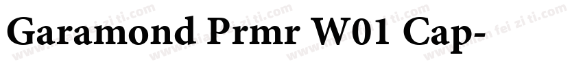 Garamond Prmr W01 Cap字体转换